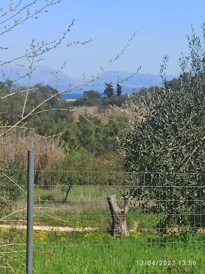 Corfu Oasis Studio Neochorakion Exteriör bild