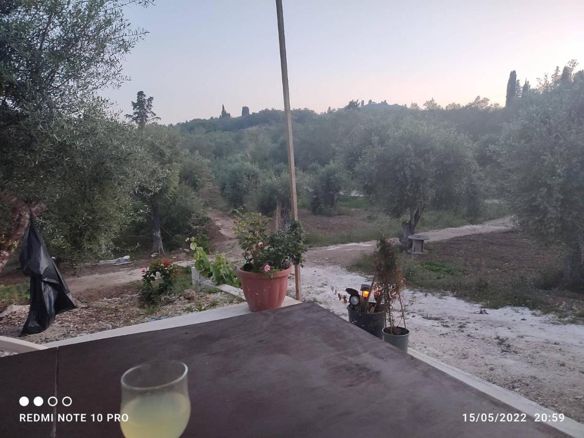 Corfu Oasis Studio Neochorakion Exteriör bild