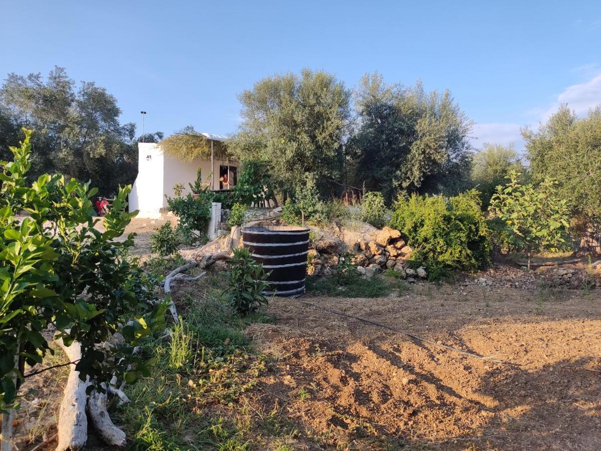 Corfu Oasis Studio Neochorakion Exteriör bild