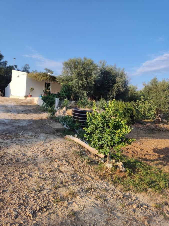 Corfu Oasis Studio Neochorakion Exteriör bild